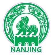 Nanjing Team